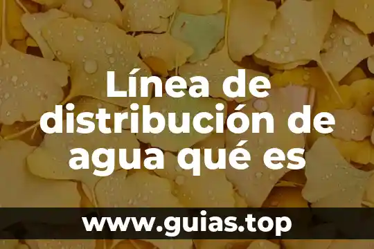 Que es ensayo error 6 Línea de distribución de agua qué es