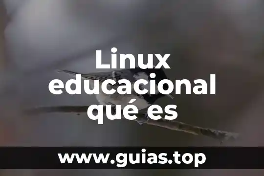 Qué es mejor una XV o un viaje 8 Linux educacional qué es