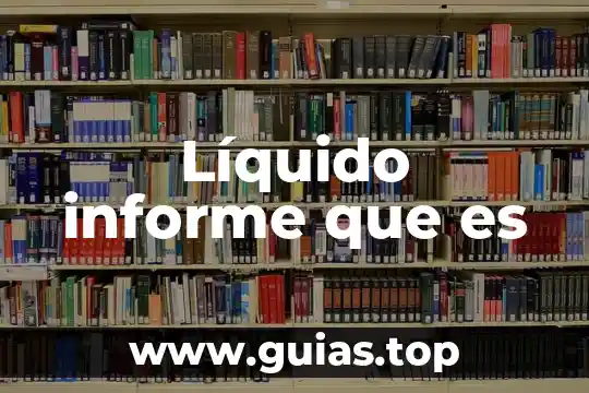 Que es el concepto de factura 5 Líquido informe que es
