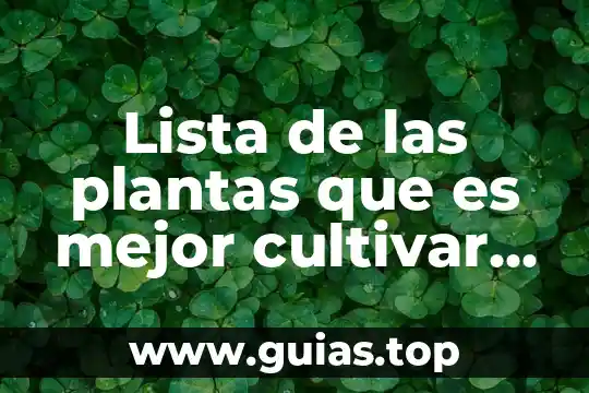 Que es mejor la estrella de azura 6 Lista de las plantas que es mejor cultivar en diciembre