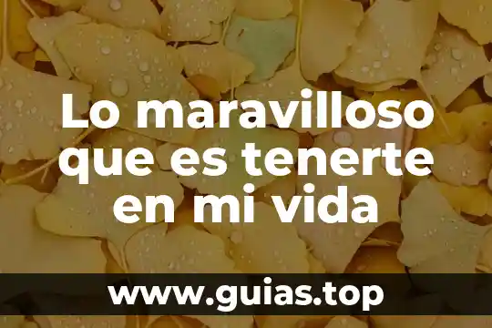 La vida es sueño análisis literario que es 8 Lo maravilloso que es tenerte en mi vida