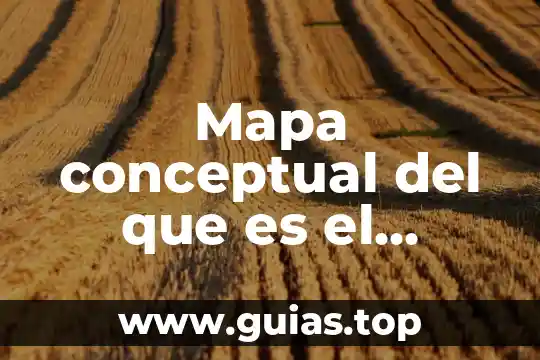 Que es un mapa de navegación en programación 3 Mapa conceptual del que es el pensamiento