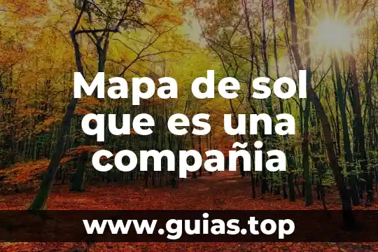 Que es colaboracion en linea 5 Mapa de sol que es una compañia