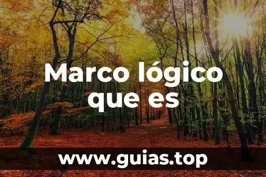 Tesis que es el marco epidemiológico 4 Marco lógico que es