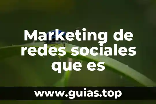 Que es historia en las ciencias sociales 5 Marketing de redes sociales que es