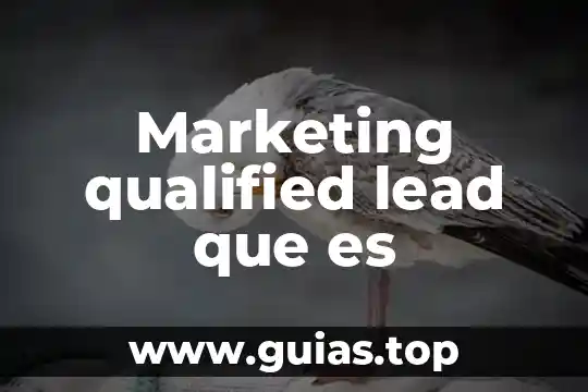 El número que es divisor de 36 6 Marketing qualified lead que es