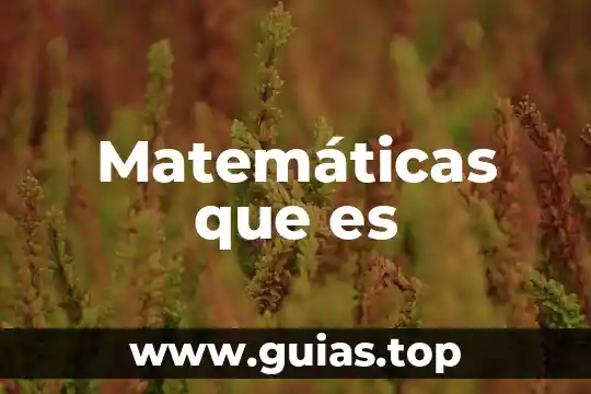 Que es ser radical en matematicas 4 Matemáticas que es