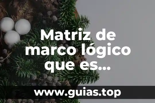 Qué es alpargatas concepto 4 Matriz de marco lógico que es resumen narrativo