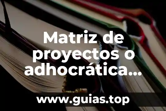 Que es un cordinador de proyectos 7 Matriz de proyectos o adhocrática que es