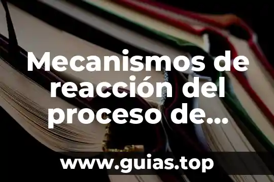Que es una reacción de cambio de color 7 Mecanismos de reacción del proceso de electrodeposición