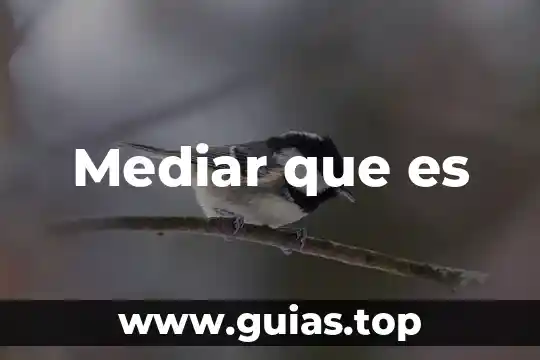 Qué es hipótesis planteada 8 Mediar que es