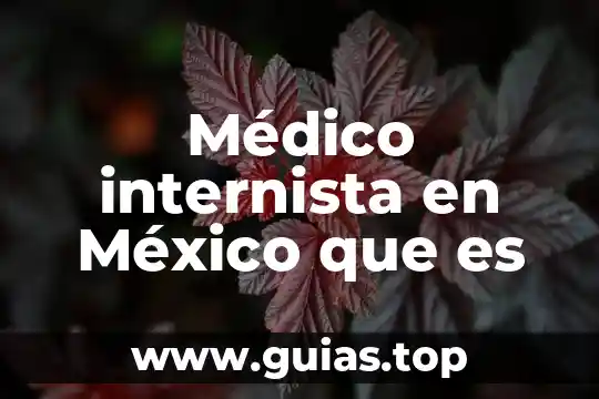 Que es el modelo medico familiar 5 Médico internista en México que es