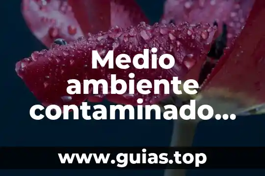 Que es ambiente escolar inclusivo 5 Medio ambiente contaminado que es