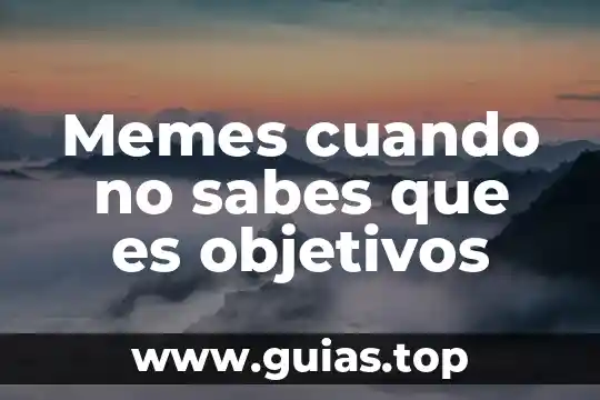 La hora que es y no he saludado memes 6 Memes cuando no sabes que es objetivos