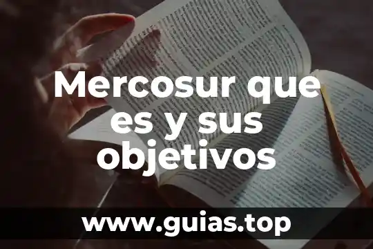 Que es objetivos o propósitos de una tesis 3 Mercosur que es y sus objetivos
