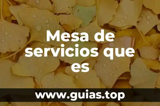 Ejecutivo mesa de control que es 3 Mesa de servicios que es