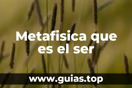 Según la metafísica que es sobriedad 3 Metafisica que es el ser