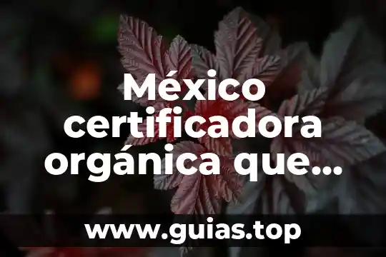 Que es la ideología organica 7 México certificadora orgánica que es