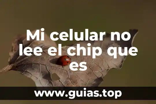 Una conclusión que es la nación 6 Mi celular no lee el chip que es