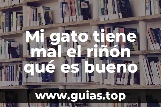 Por que es bueno ser solidarios 6 Mi gato tiene mal el riñón qué es bueno