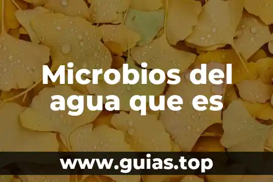 Porcentaje del cuerpo humano que es agua 4 Microbios del agua que es