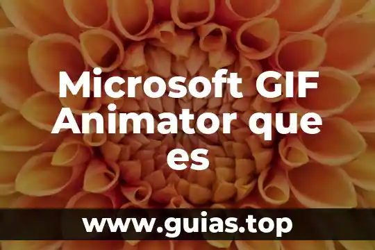 Que es antaño concepto 8 Microsoft GIF Animator que es