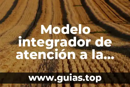 Que es demografia en la salud 7 Modelo integrador de atención a la salud midas que es