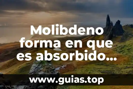 Que es unnodo de una planta 8 Molibdeno forma en que es absorbido en la planta