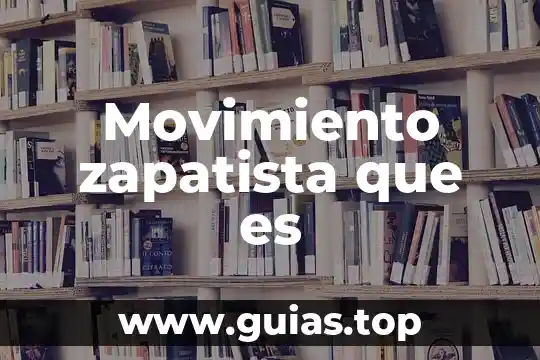 Qué es una dieta vegetariana definición 7 Movimiento zapatista que es