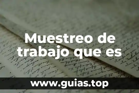 Que es un plan de muestreo concepto 3 Muestreo de trabajo que es