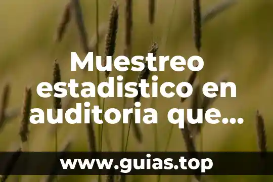 Que es pensamiento estadistico 4 Muestreo estadistico en auditoria que es