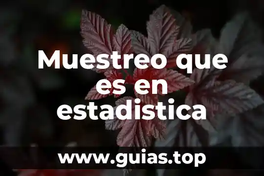 Que es un plan de muestreo concepto 7 Muestreo que es en estadistica