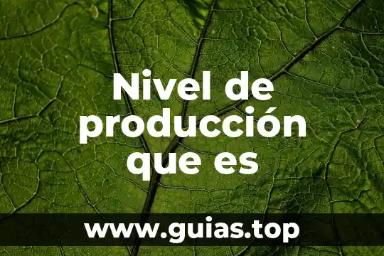 Que es un proyecto de produccion 7 Nivel de producción que es