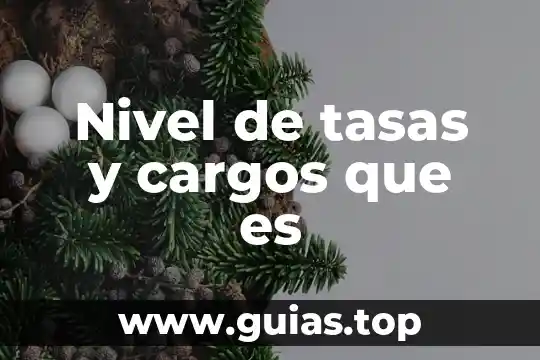 Cargos concejiles que es 5 Nivel de tasas y cargos que es