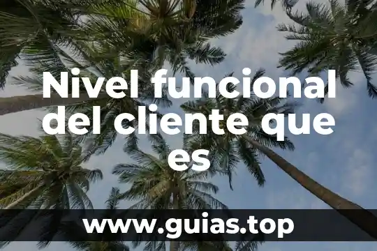 Que es ser un cliente 5 Nivel funcional del cliente que es