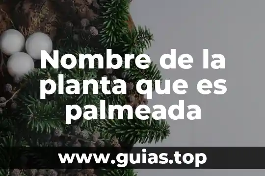 Qué es una nombre de dominio en informática 3 Nombre de la planta que es palmeada