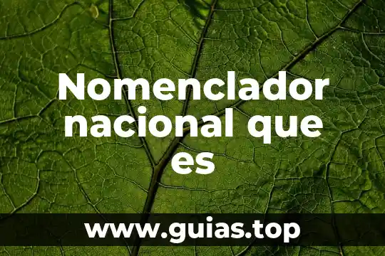 Biblioteca nacional que es 6 Nomenclador nacional que es