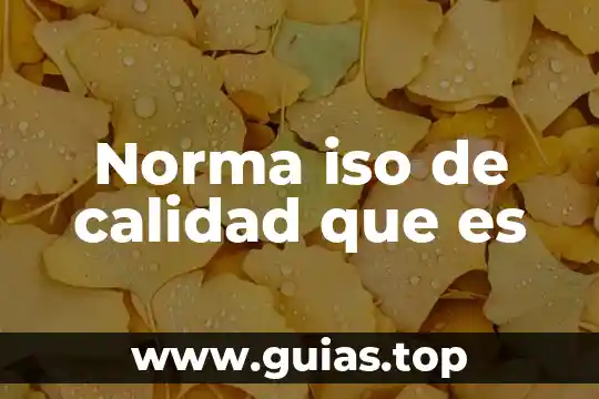 Iso 4120 2004 prueba triángulo que es 6 Norma iso de calidad que es