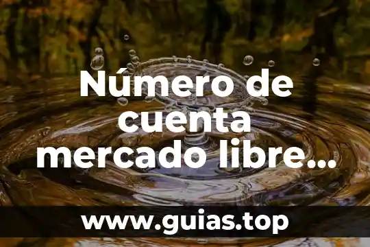 Que es mercado invex 5 Número de cuenta mercado libre que es