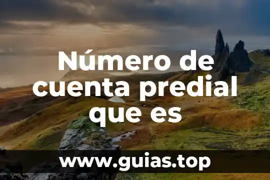Que es el número de id 8 Número de cuenta predial que es