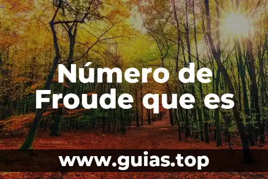 Qué es un número random 3 Número de Froude que es