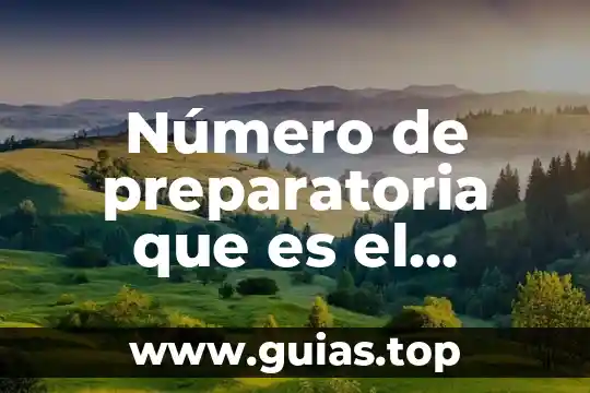 Que es una preparatoria particular de sistema abierto 6 Número de preparatoria que es el colegio excelsior