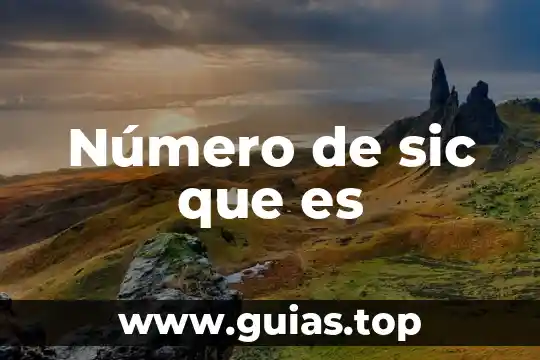 Que es numero de calle 3 Número de sic que es