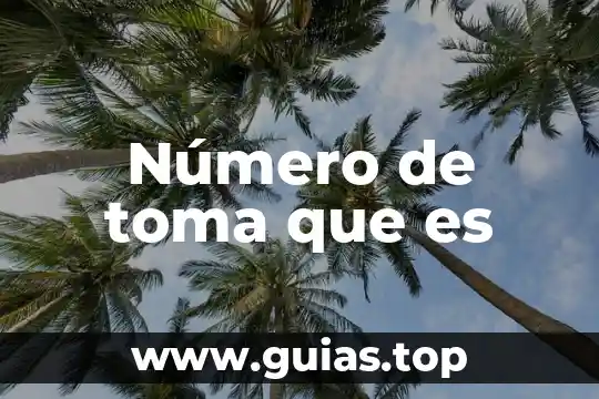 Que es la toma de decision en un ensayo 6 Número de toma que es