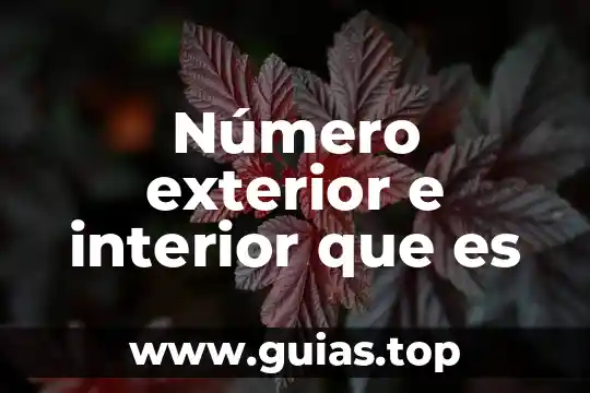 Que es el DAP en comercio exterior 8 Número exterior e interior que es