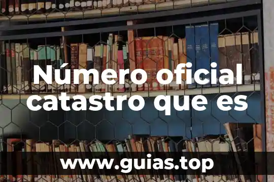 Qué es el número de exportador autorizado 8 Número oficial catastro que es