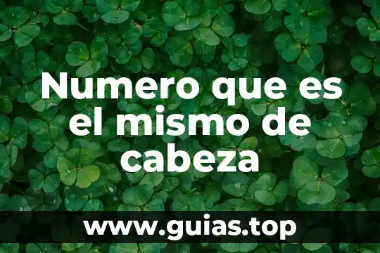 Qué es número haploide y diploide 4 Numero que es el mismo de cabeza