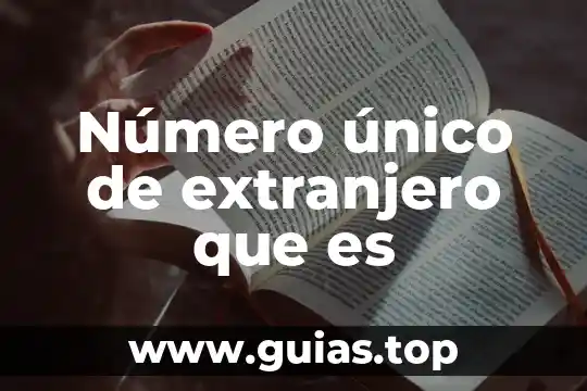 Que es la prueba del extranjero 4 Número único de extranjero que es