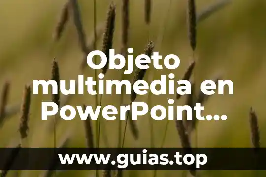 Qué es crónica y tipos de crónica PowerPoint 4 Objeto multimedia en PowerPoint que es