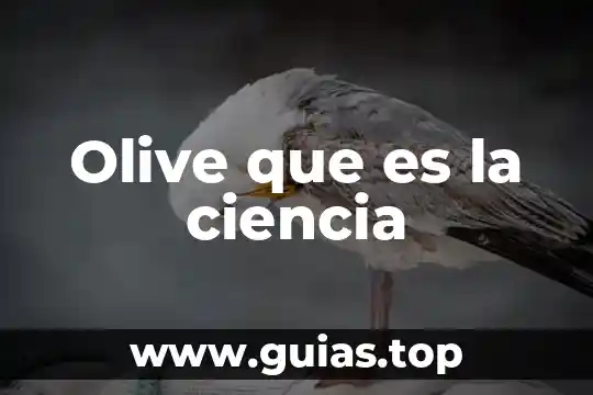 Qué es la agronomía como ciencia 8 Olive que es la ciencia
